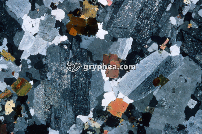 Granite de Senones (Vosges) LPA x3 - gryphea.com